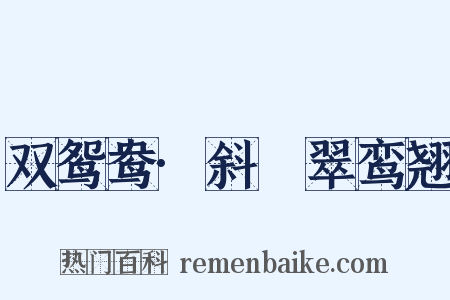双鸳鸯·斜亸翠鸾翘是什么意思的图片
